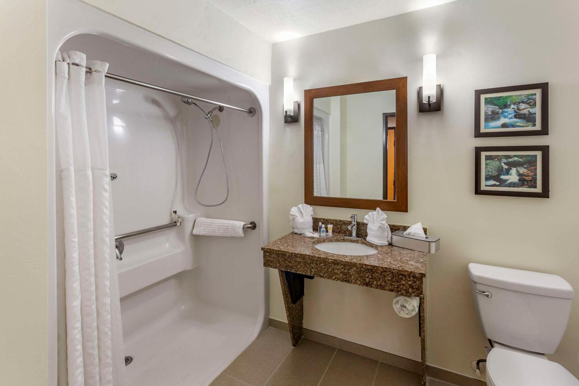 Efficiency King Suite - Non-Smoking/Pet Friendly
